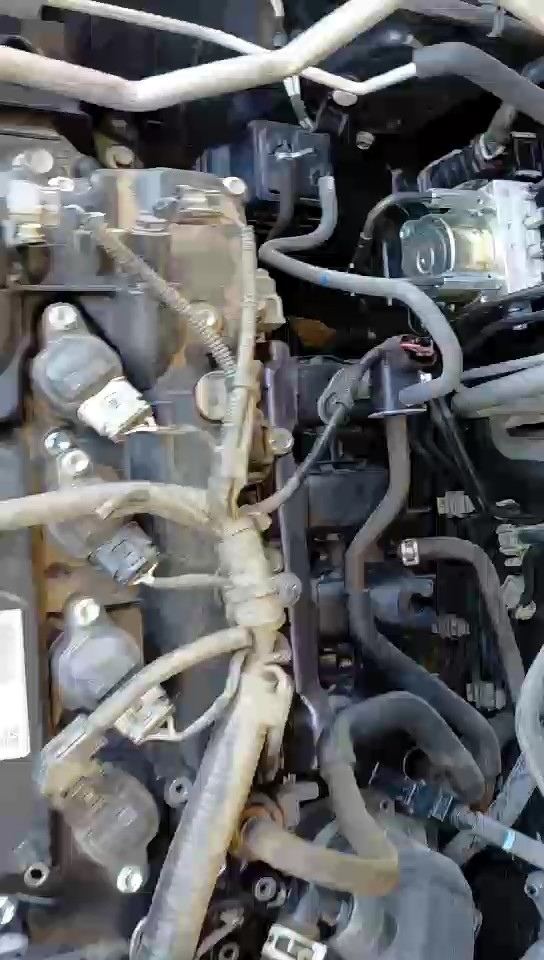 Toyota Yaris SD Y 2024 video