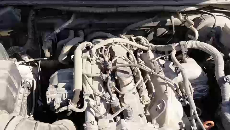 جريت وول وينجل 7  2022 video