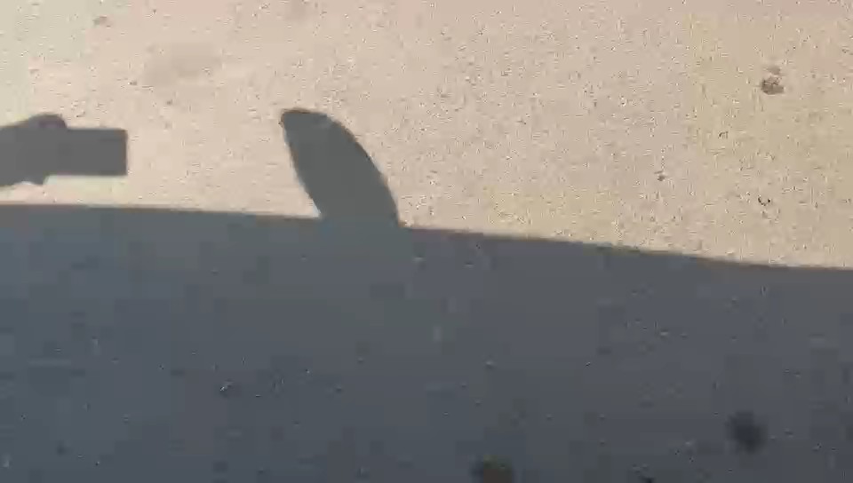 Toyota Corolla XLI EXECUTIVE 2020 video