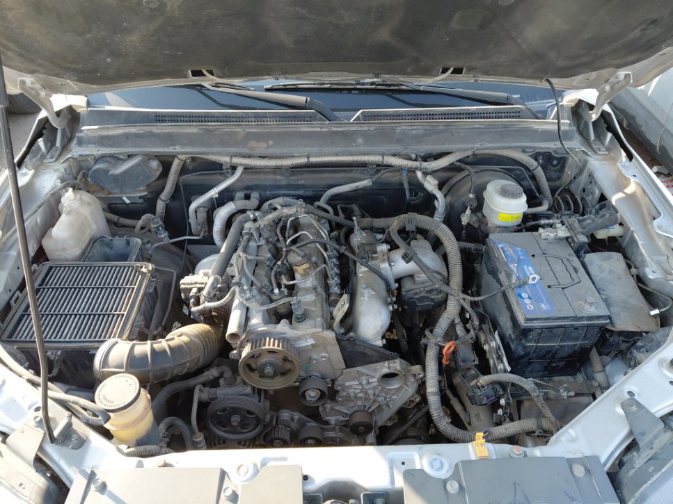 جريت وول باور كينج كونج  2023 image