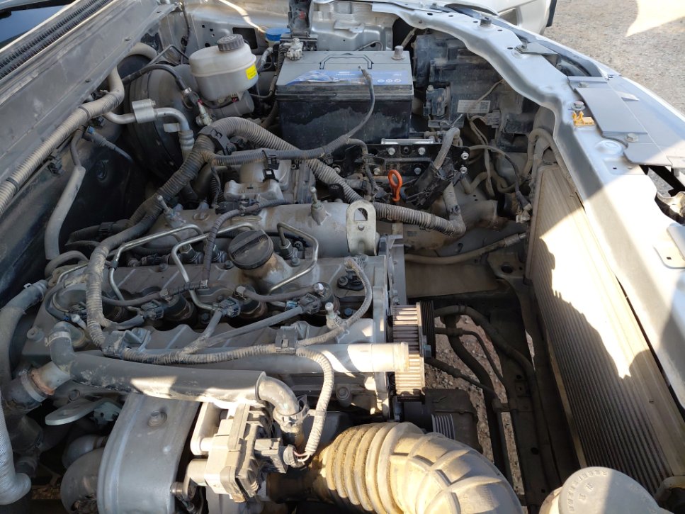 جريت وول باور كينج كونج  2023 image