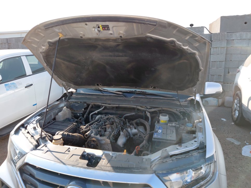 جريت وول باور كينج كونج  2023 image