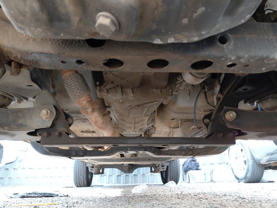 جريت وول باور كينج كونج  2023 image