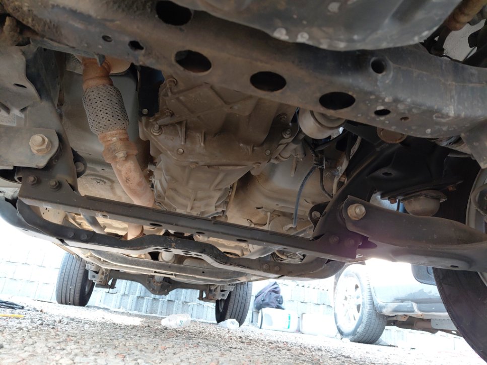 جريت وول باور كينج كونج  2023 image