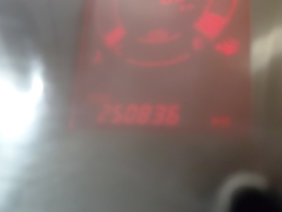 ايسوزو ديماكس  2022 image