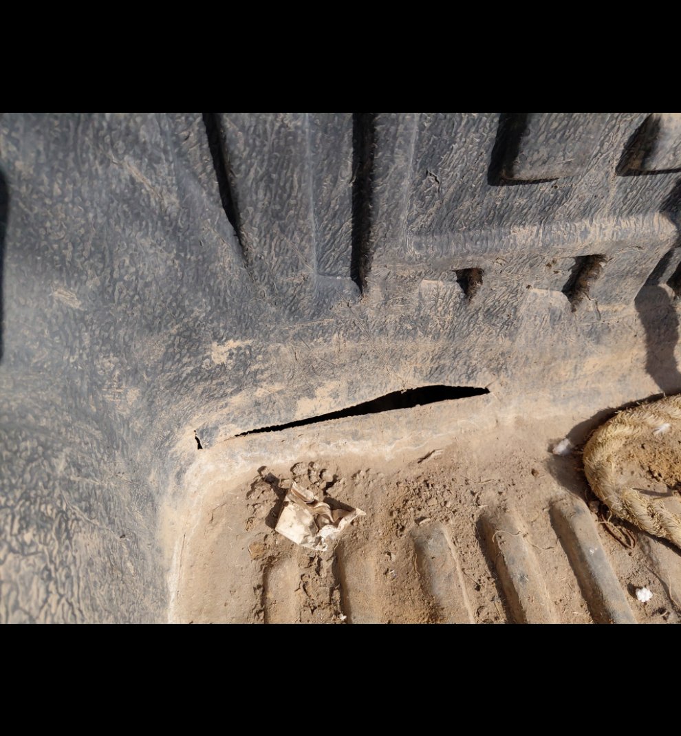 ايسوزو ديماكس  2022 image