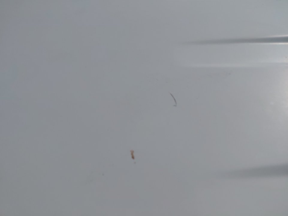 ايسوزو ديماكس  2022 image