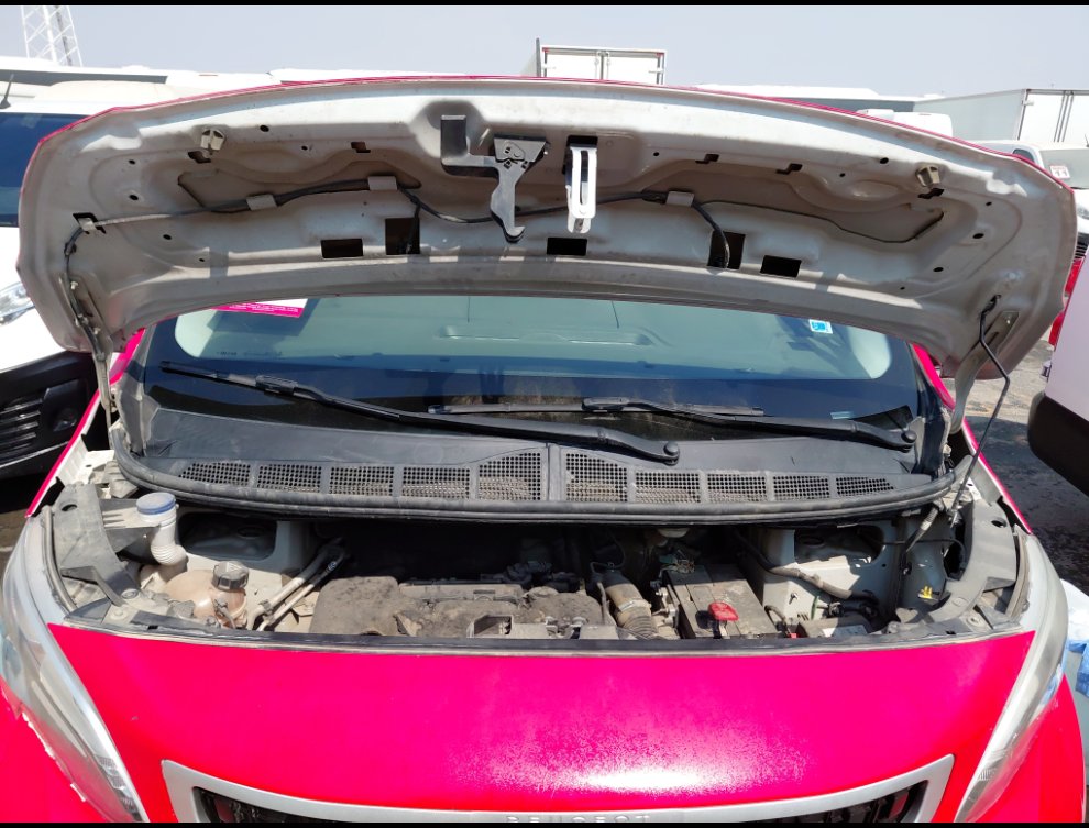 بيجو اكسبرت فان  2022 image