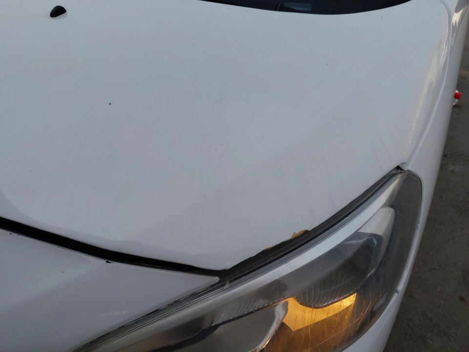 بيجو اكسبرت فان  2022 image