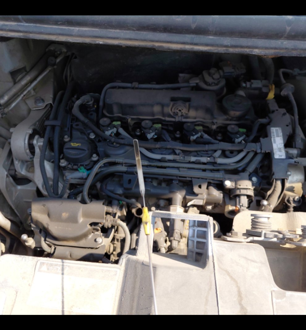 بيجو اكسبرت فان  2022 image