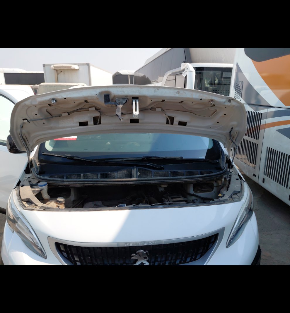 بيجو اكسبرت فان  2022 image