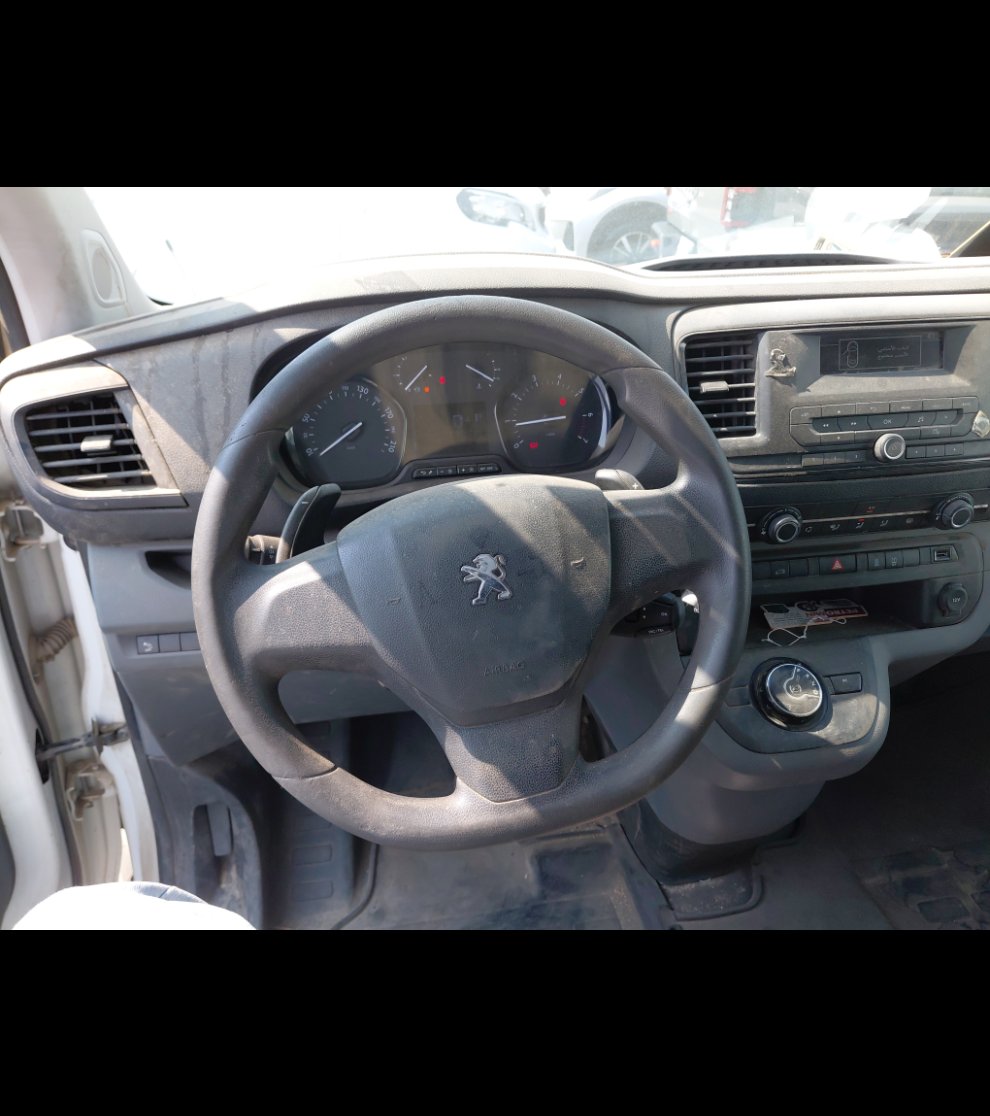 بيجو اكسبرت فان  2022 image