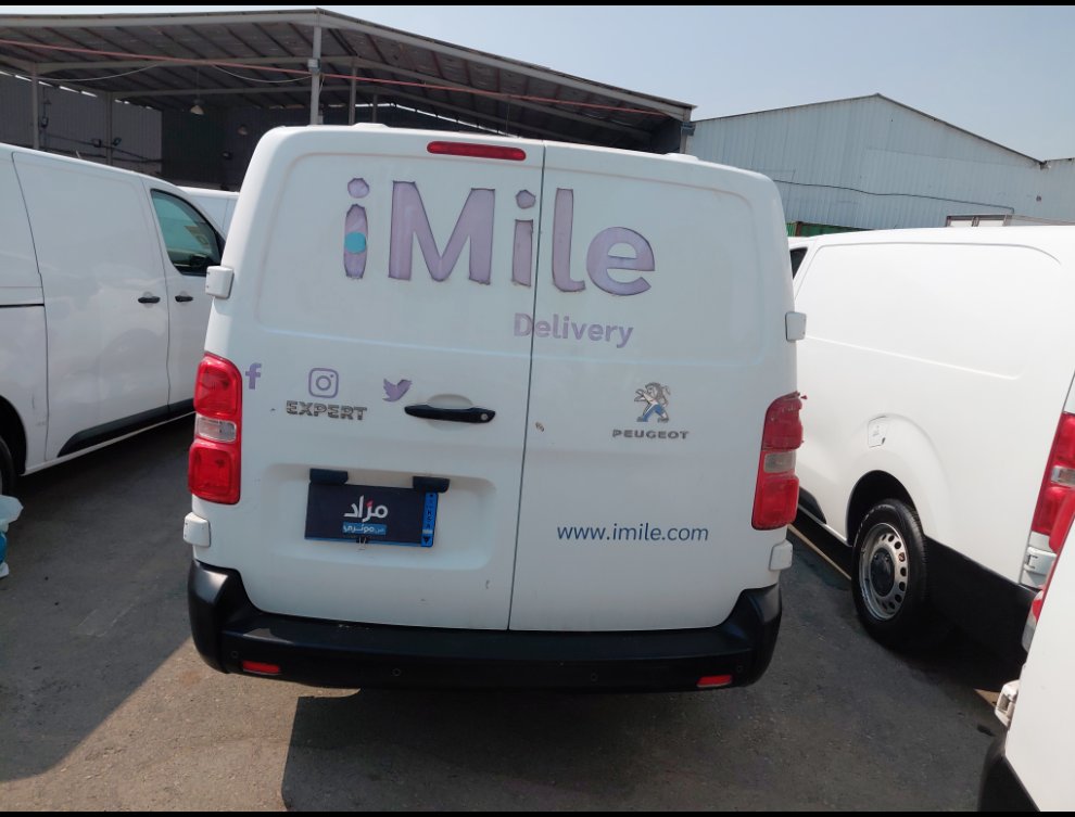 بيجو اكسبرت فان  2022 image