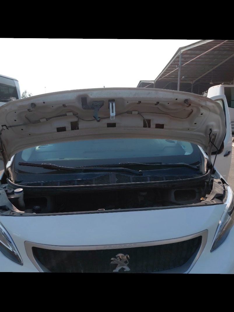 بيجو اكسبرت فان  2022 image