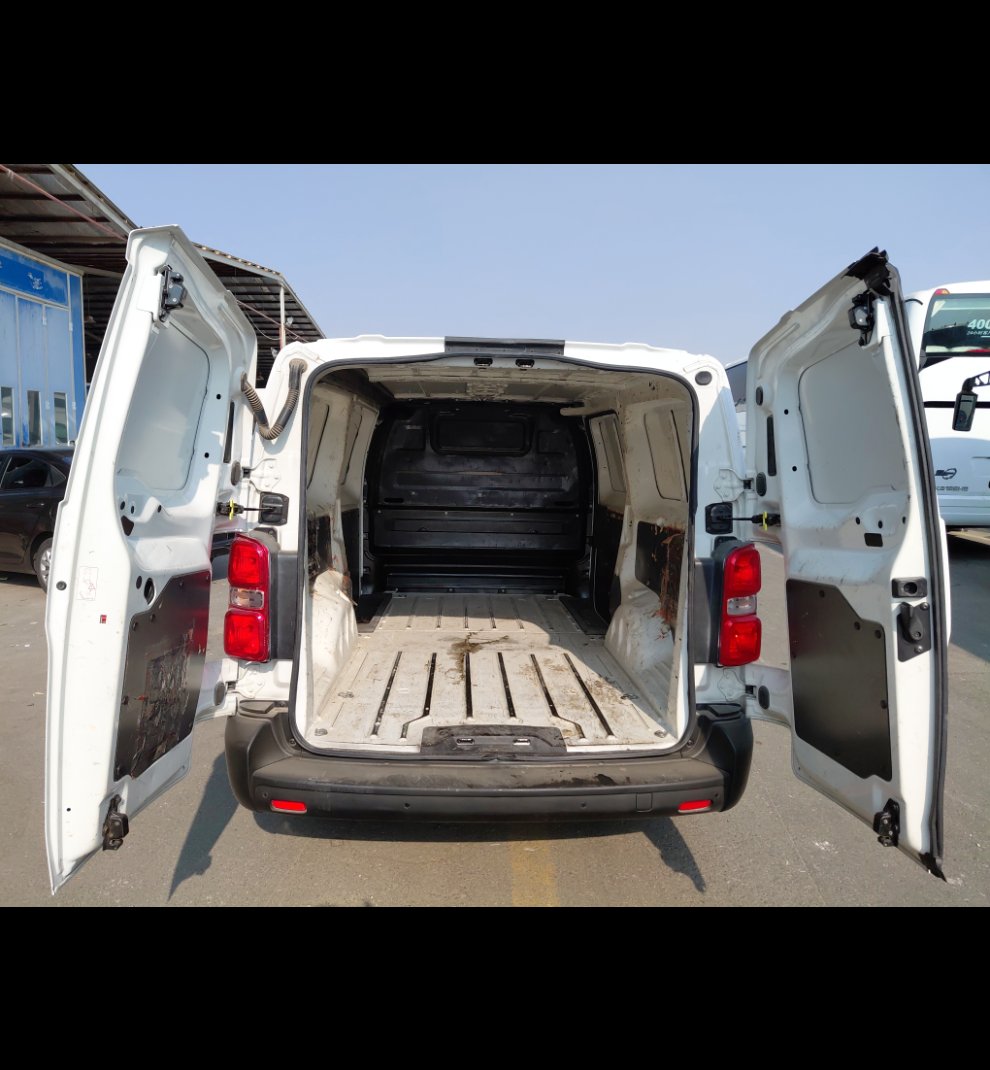 بيجو اكسبرت فان  2022 image