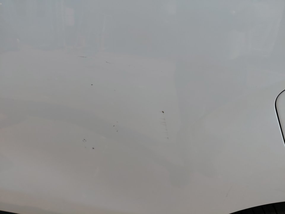 بيجو اكسبرت فان  2022 image