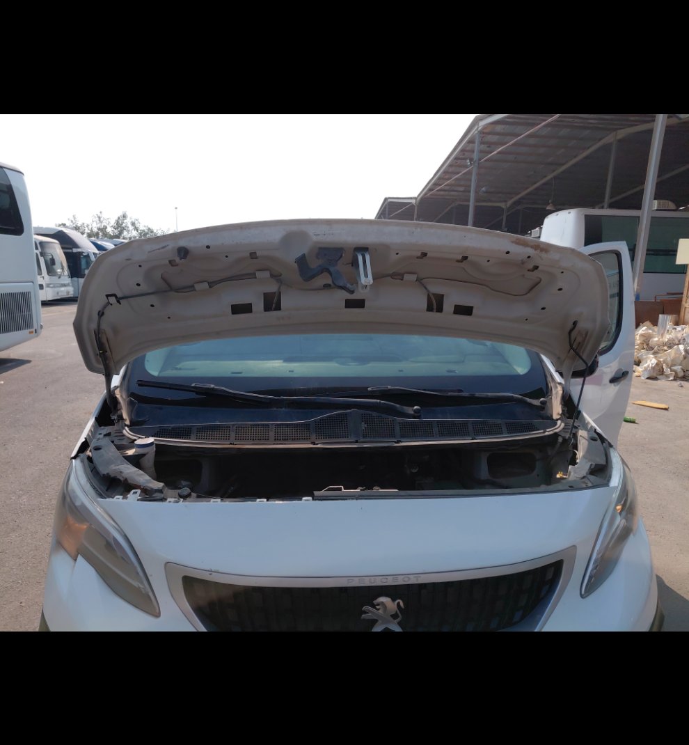 بيجو اكسبرت فان  2022 image