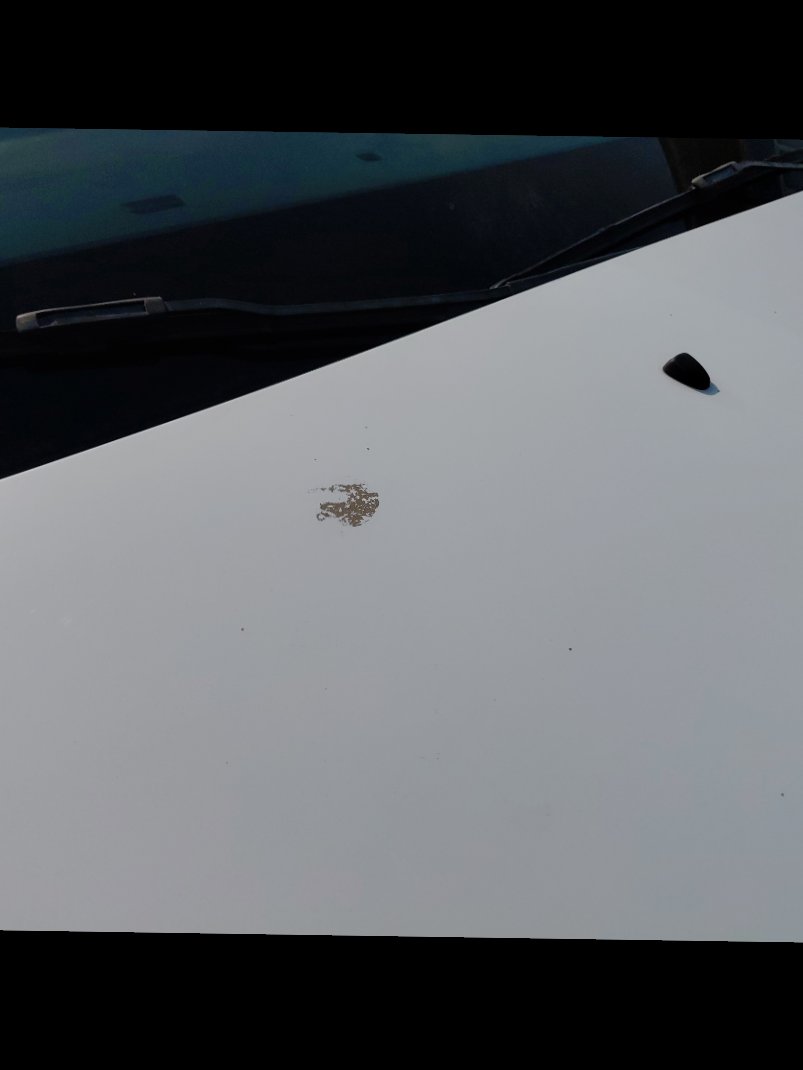 بيجو اكسبرت فان  2022 image