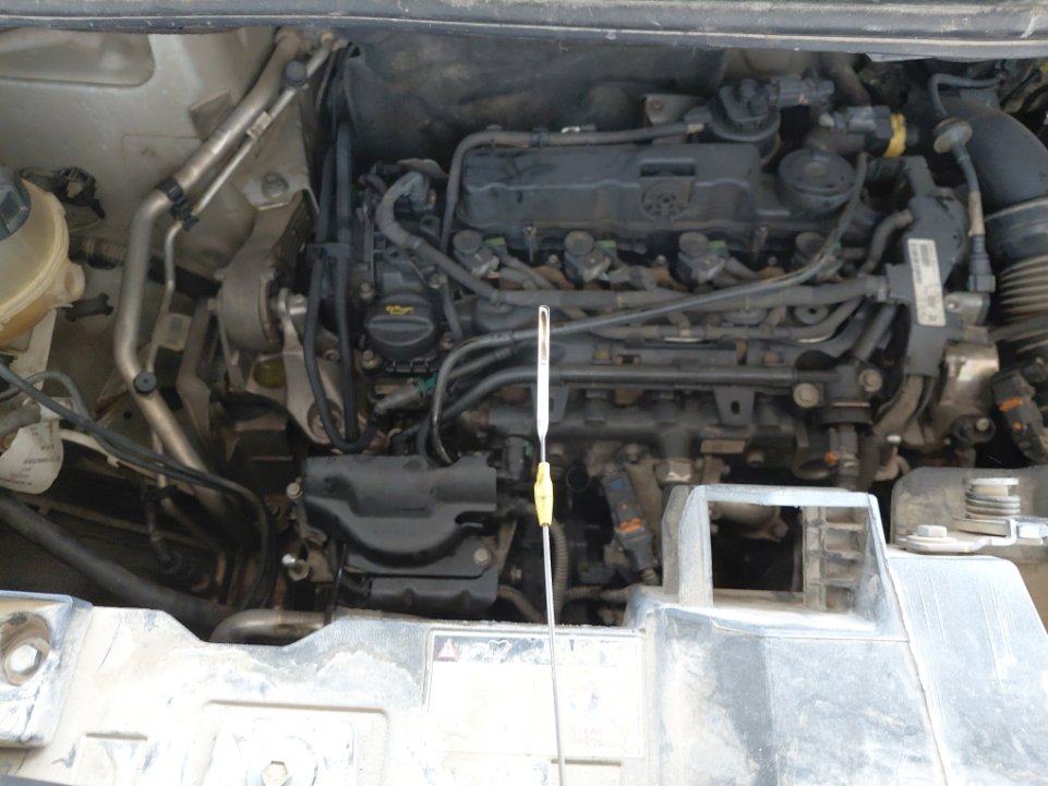 بيجو اكسبرت فان  2022 image