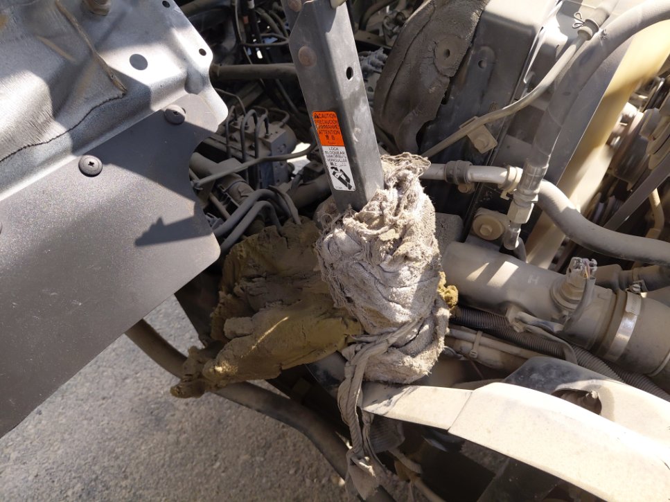 Hino 300  2022 image