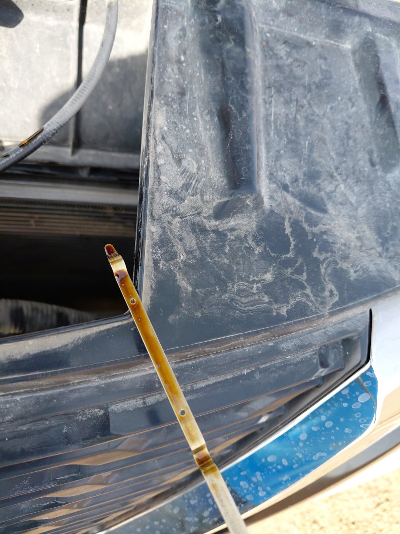 Nissan X-Trail  2022 image