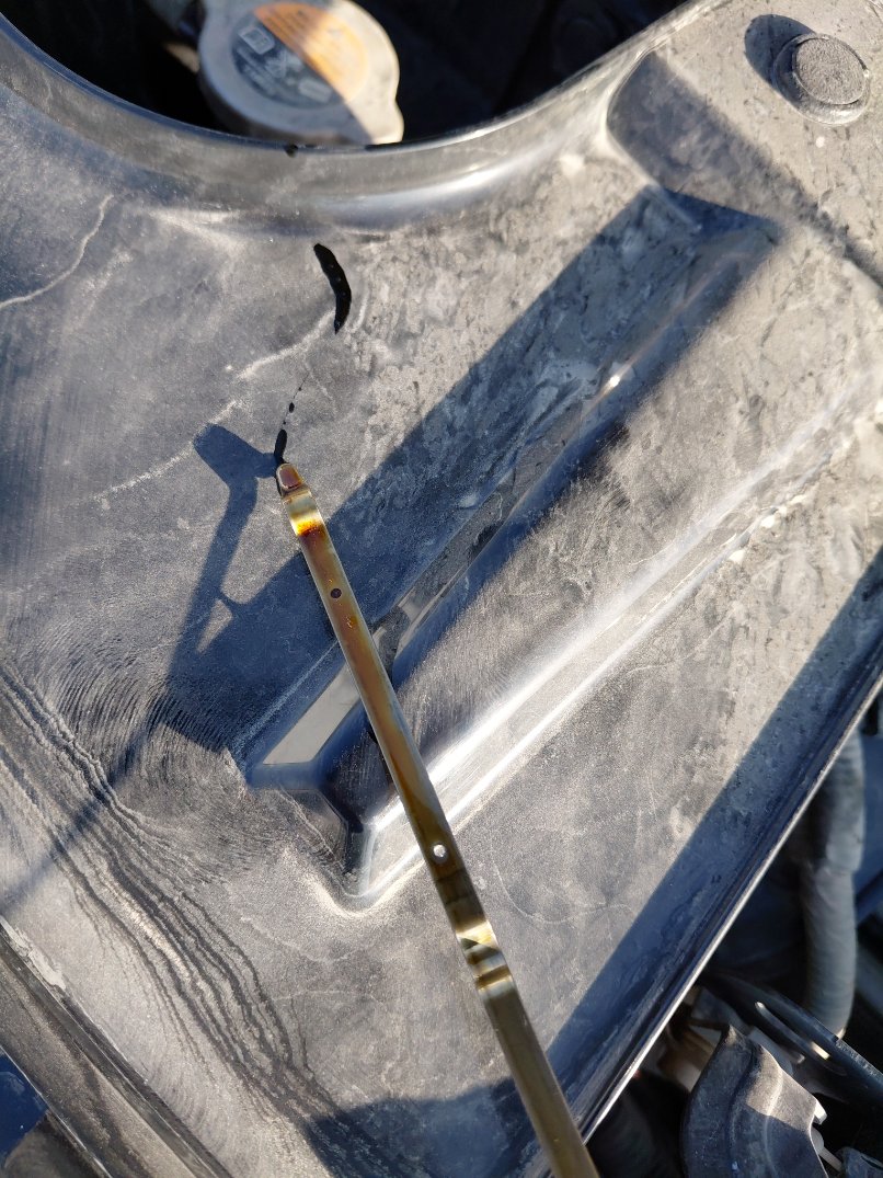 Nissan X-Trail  2022 image