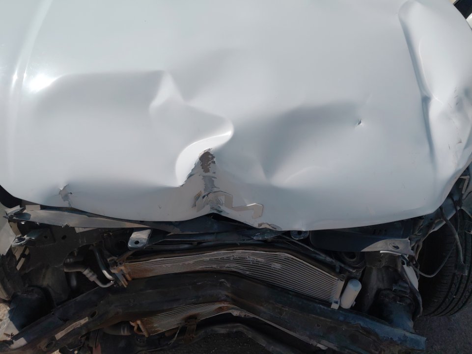 KIA Pegas LX FWD  2022 image