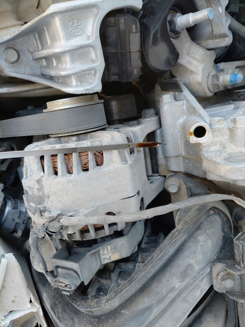 Hyundai Elantra  2023 image