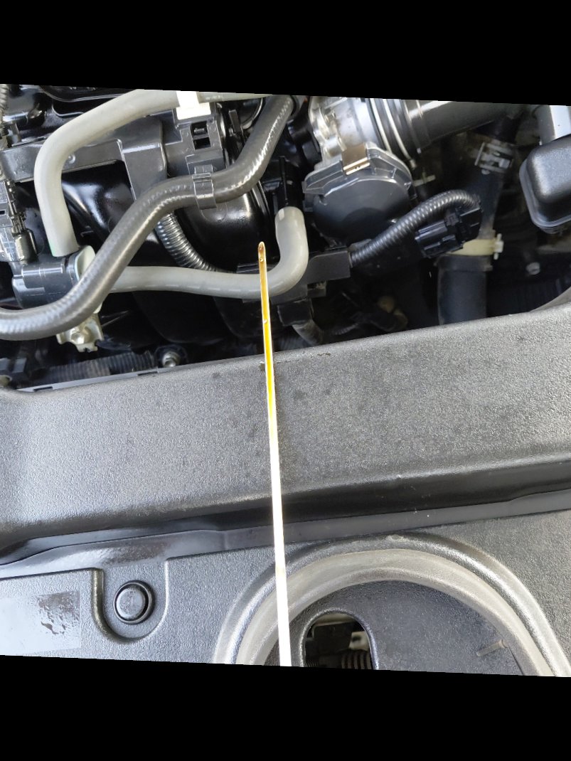 تويوتا كورولا XLI 2021 image