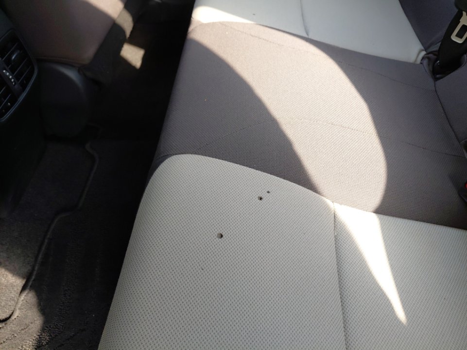 تويوتا كورولا XLI 2021 image