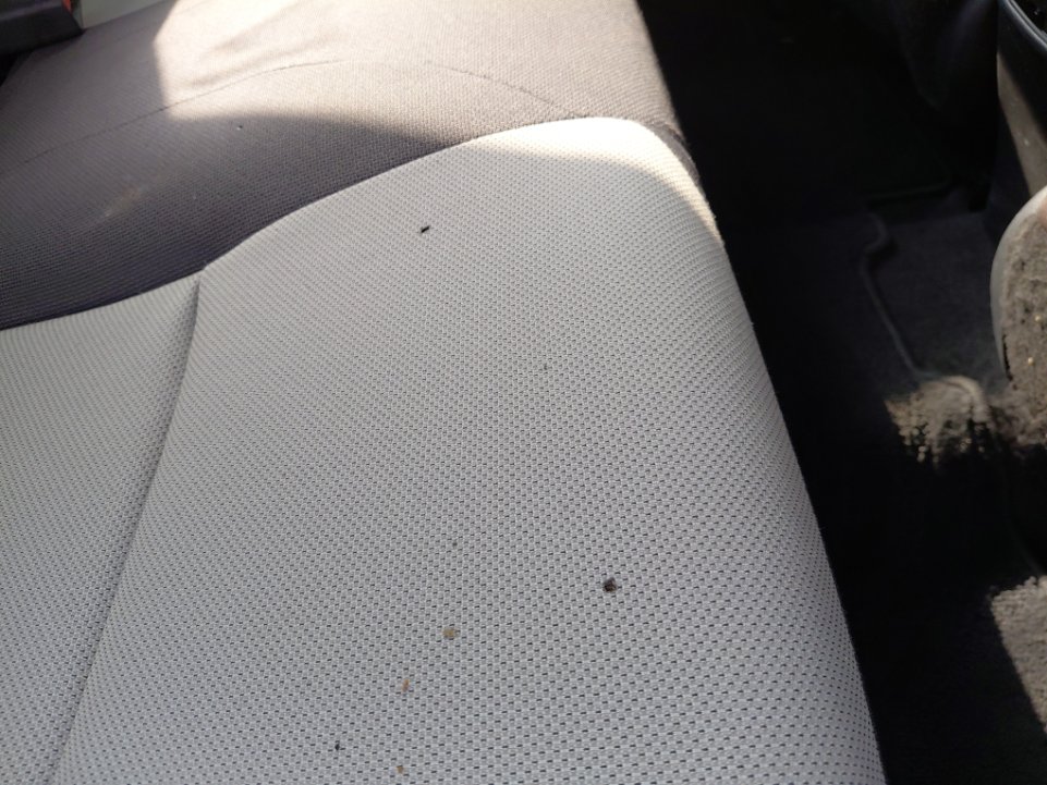 تويوتا كورولا XLI 2021 image