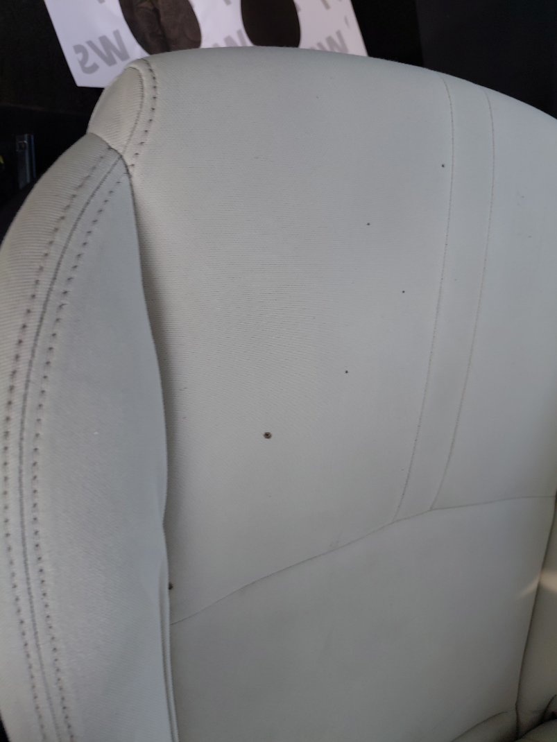 Changan Alsvin LTD 2022 image