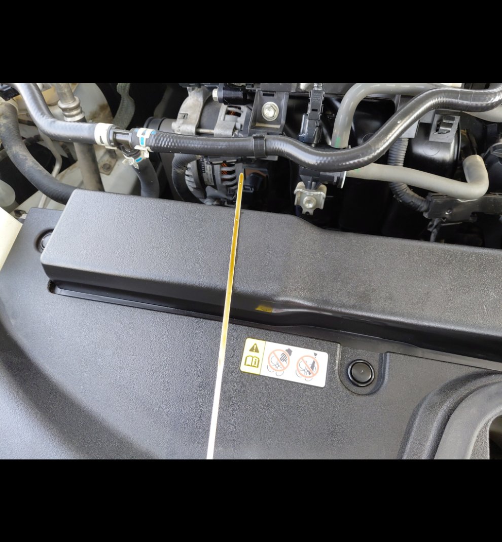 تويوتا كورولا XLI 2021 image