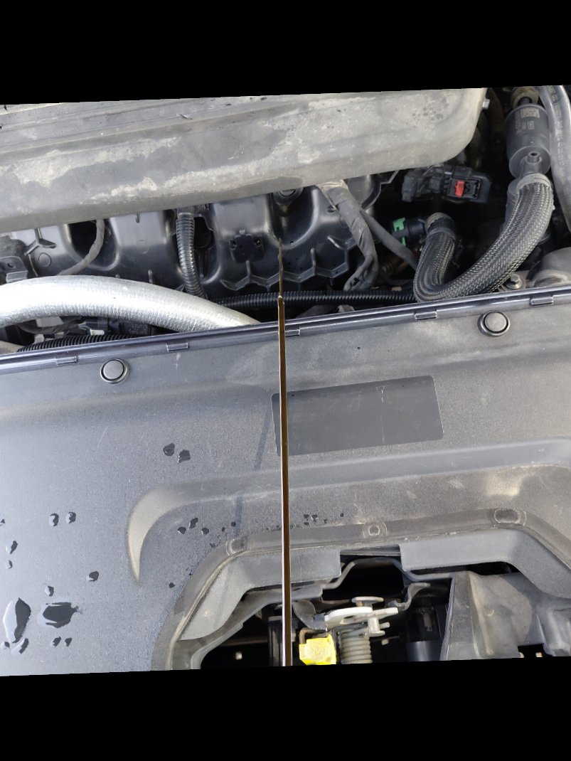 Ford Taurus STD 2022 image