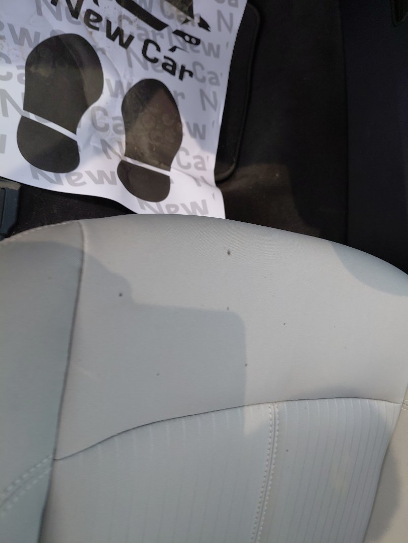 Ford Taurus STD 2022 image