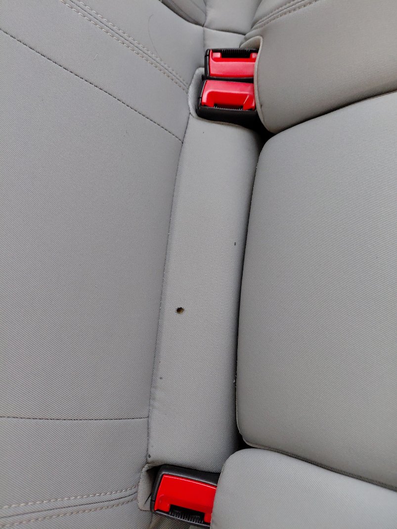 Ford Taurus STD 2022 image