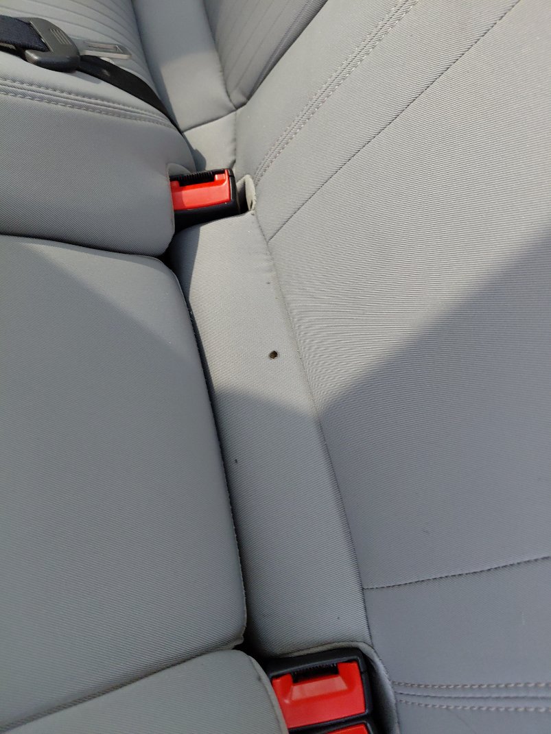 Ford Taurus STD 2022 image