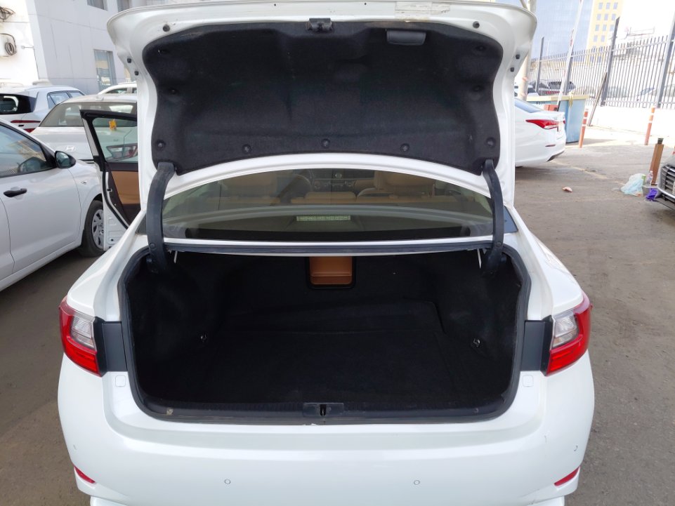 Lexus ES 250 2018 image