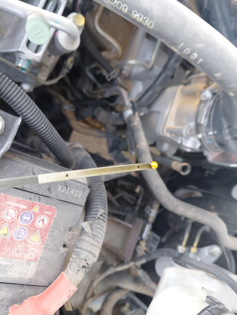 Isuzu D MAX 2x4 2021 image