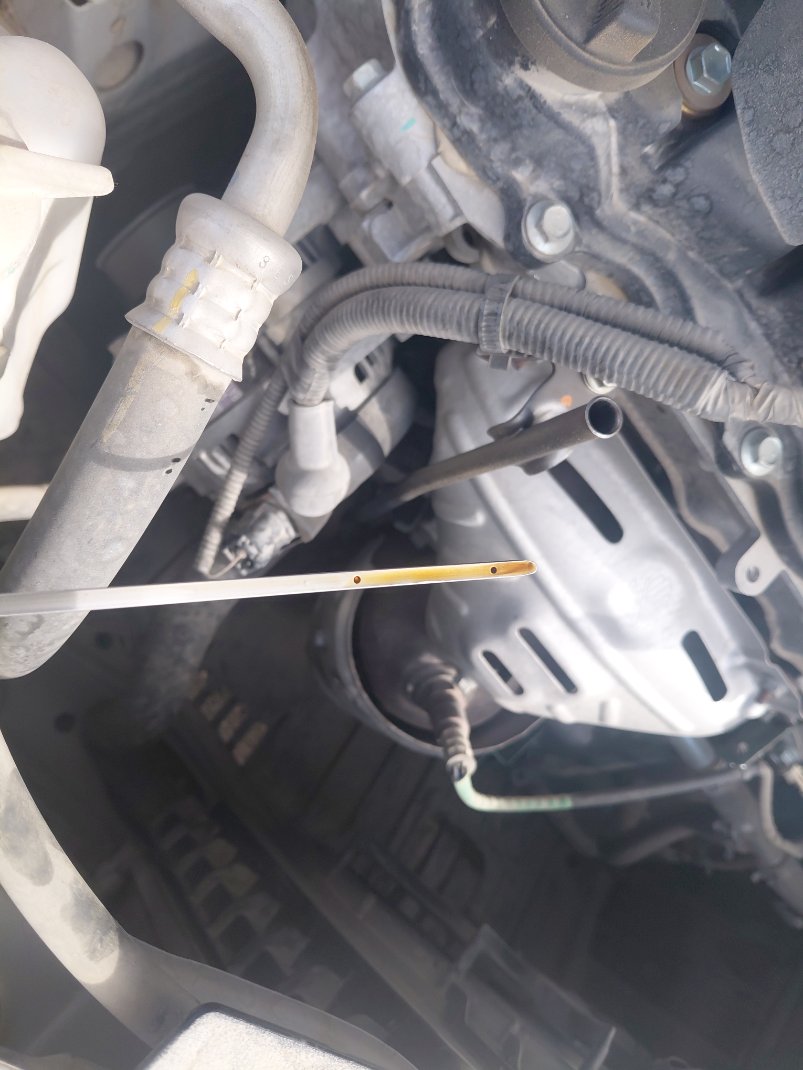 Toyota Yaris  2023 image