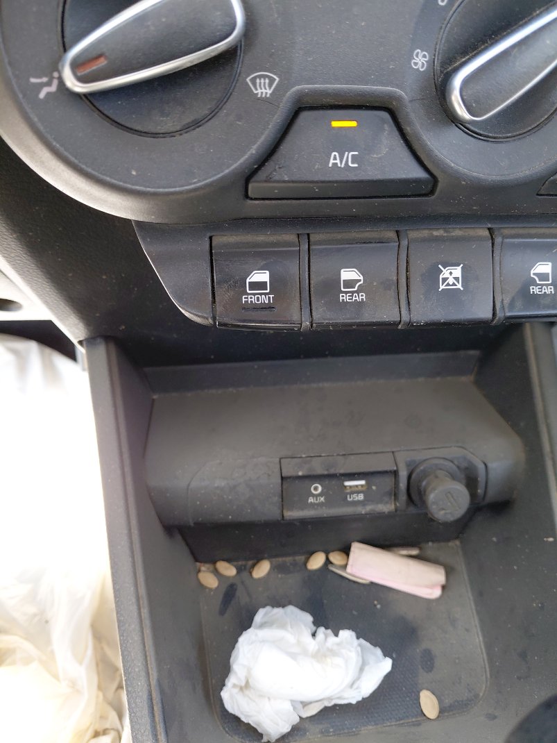 KIA Pegas  LX FWD  2023 image