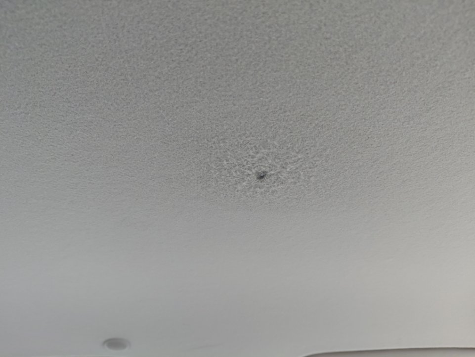 KIA Pegas  LX FWD  2022 image