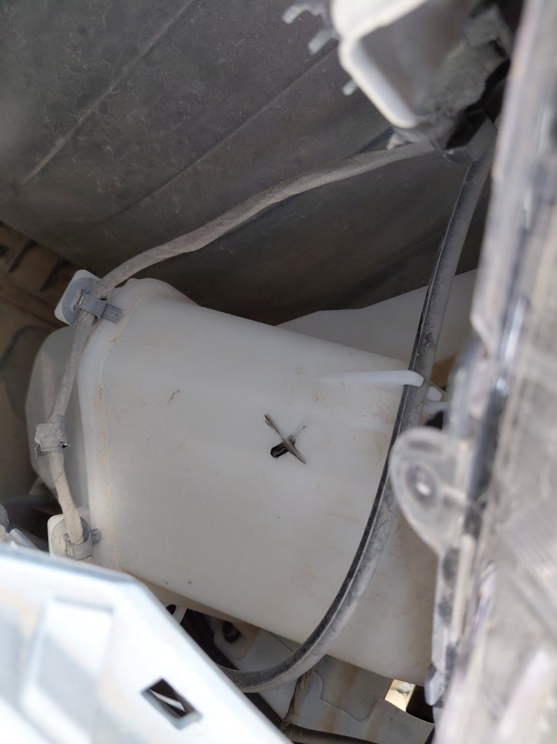 KIA Pegas  LX FWD 2024 image