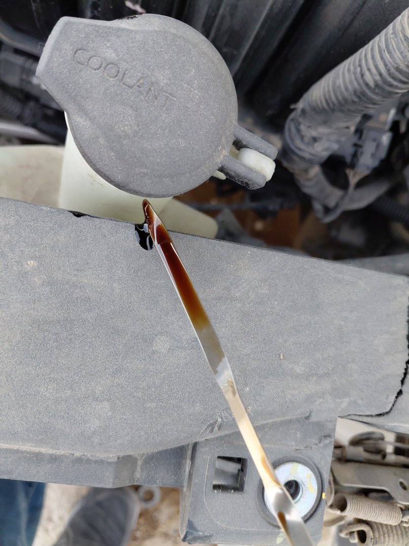 Hyundai Elantra  2025 image