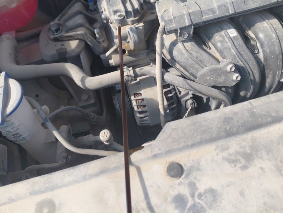 KIA Sportage NQ5E LX 4WD  2023 image