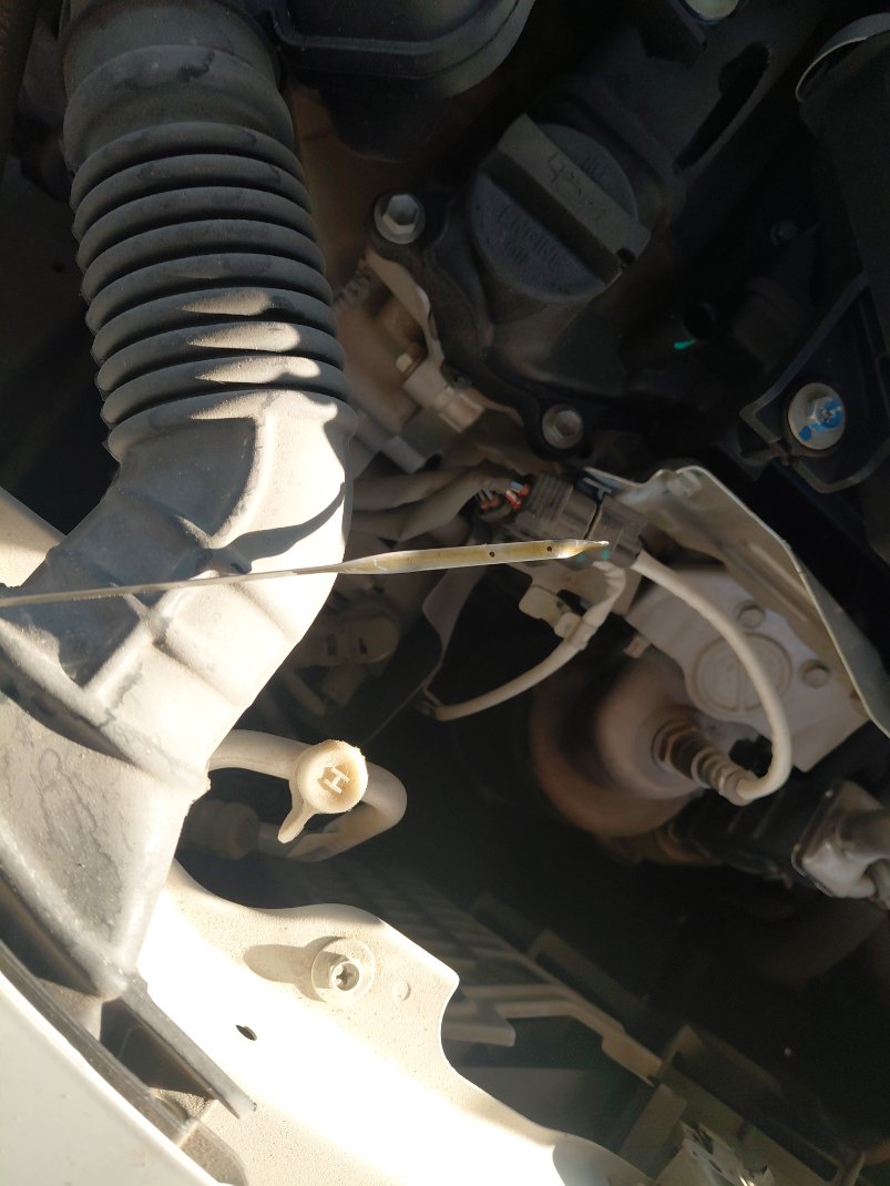 Suzuki SWIFT GL 2025 image