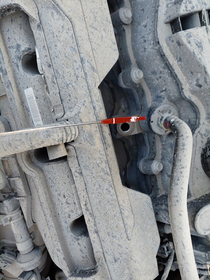 KIA Sportage EX Sports  2024 image