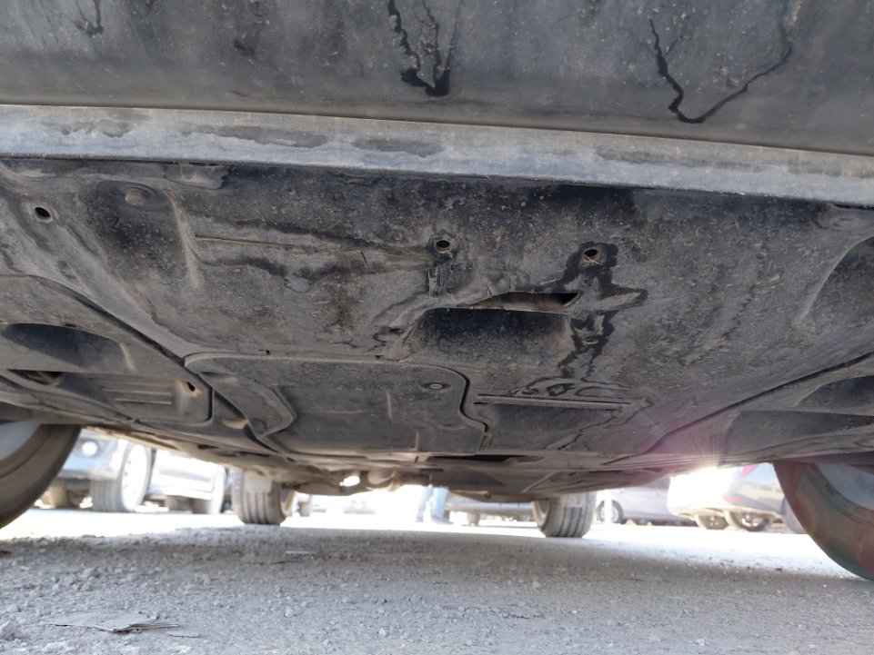 KIA Sportage EX Sports  2024 image