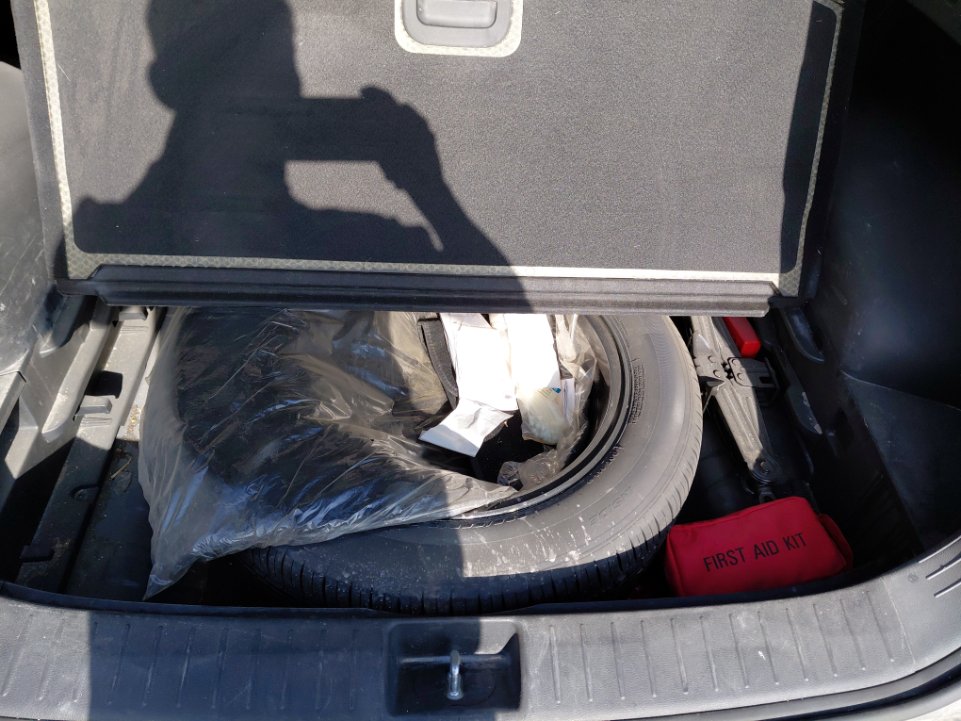 KIA Sportage EX Sports  2024 image