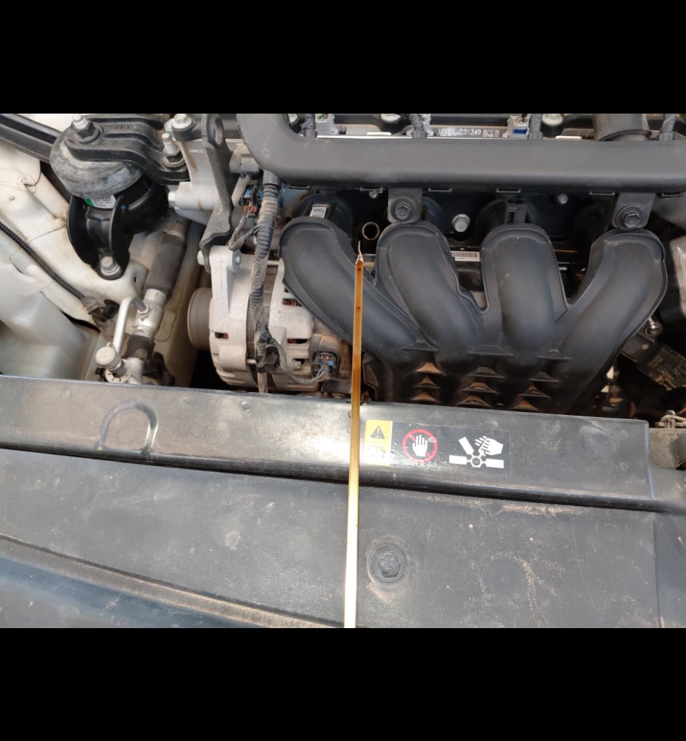 Hyundai Accent FLEET  2021 image